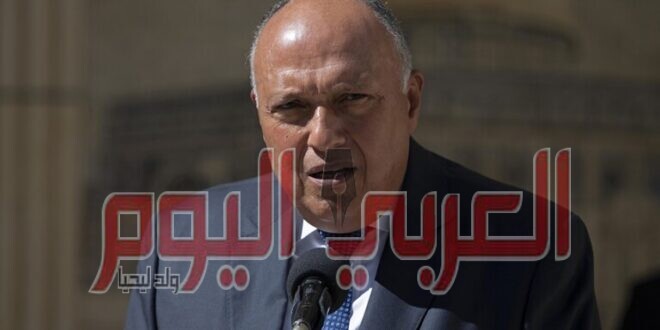 شكري: مصر لم تكن السبب في انقطاع مفاوضات سد النهضة