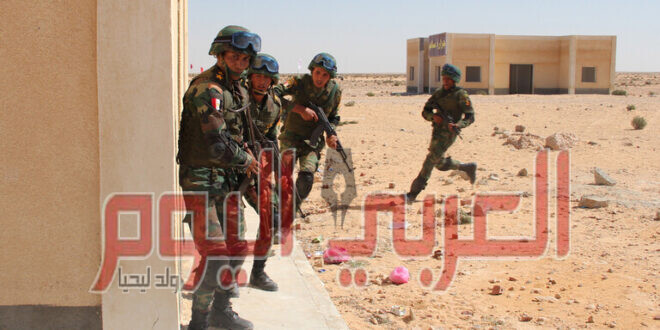 الجيشان المصري والسوداني يستعدان لمواجهة مواقف طارئة على الحدود