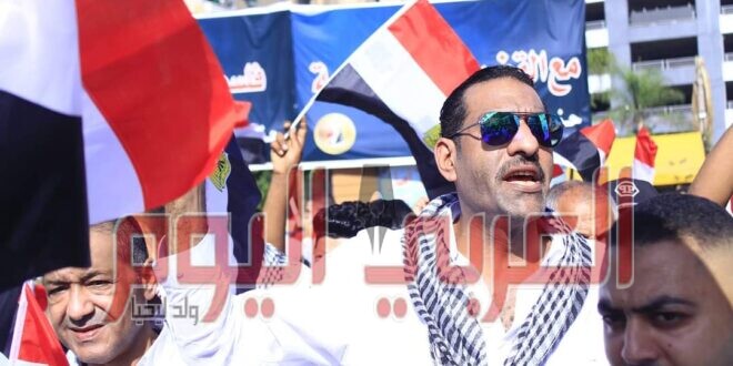الشيمي: الملحمة الانتخابات للمصريين بالخارج اثبات اننا اقوياء