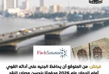 فيتش تتوقع للجنيه المصري المحافظة علي أداءه القوي أمام الدولار