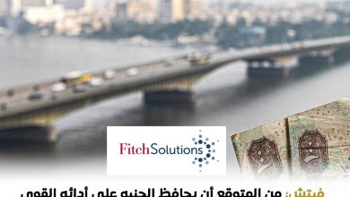 فيتش تتوقع للجنيه المصري المحافظة علي أداءه القوي أمام الدولار