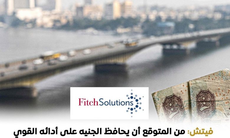 فيتش تتوقع للجنيه المصري المحافظة علي أداءه القوي أمام الدولار